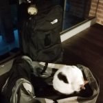 preparare i bagagli