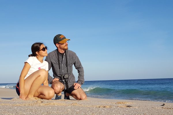 Viaggio in Oman: l’emozionante incontro con le tartarughe marine