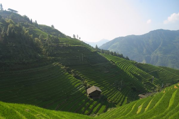 Le risaie del Longsheng e la contea di Yangshuo