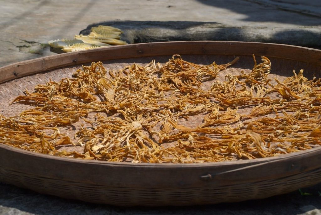Longsheng risaie Cina