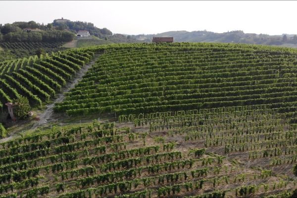 Weekend lento a Govone nel Roero