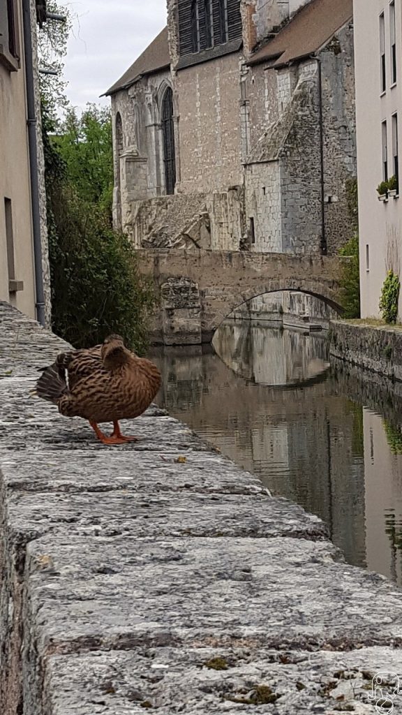 Chartres cosa vedere